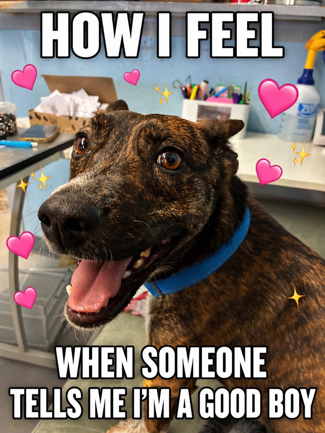 A smiling brindle dog, from a rescue social post